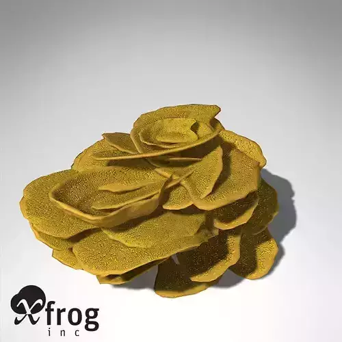 XfrogPlants Yellow Scroll Coral 3D model
