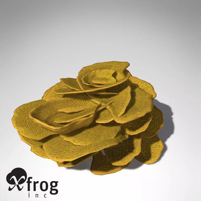 XfrogPlants Yellow Scroll Coral 3D model_0