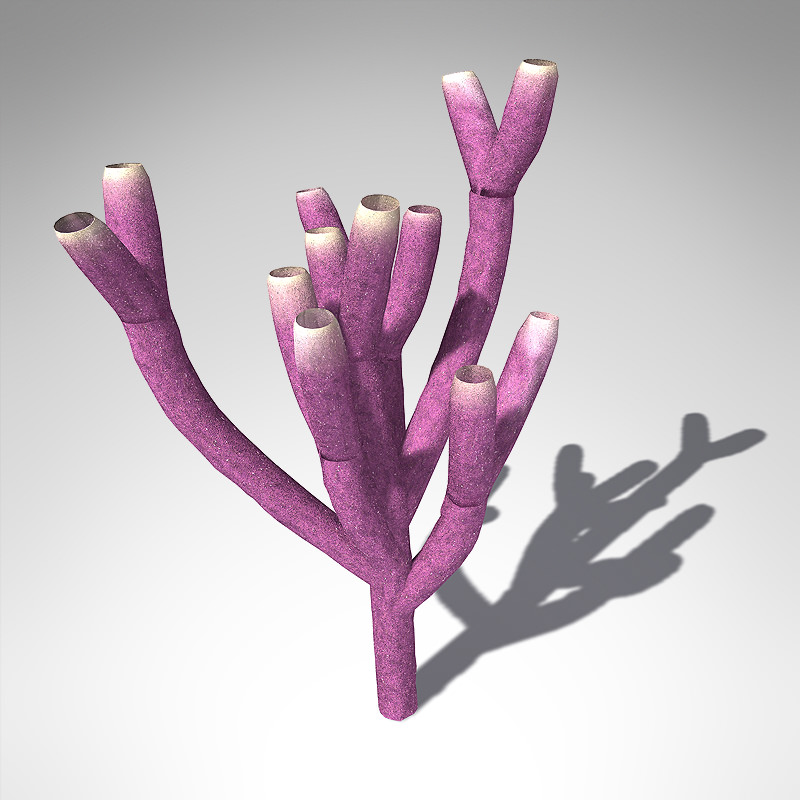 XfrogPlants Colony Siphon Sponge 3D model_1