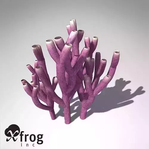 XfrogPlants Colony Siphon Sponge 3D model