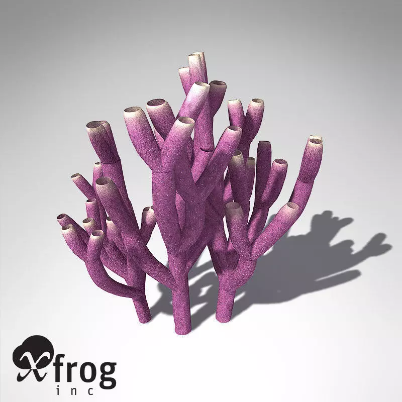 XfrogPlants Colony Siphon Sponge 3D model_0