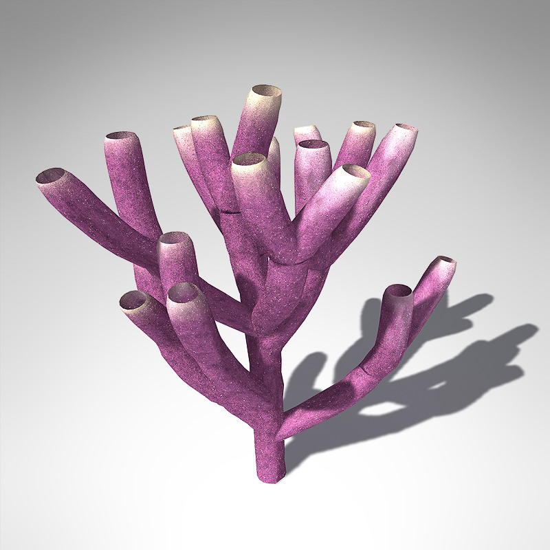 XfrogPlants Colony Siphon Sponge 3D model_2