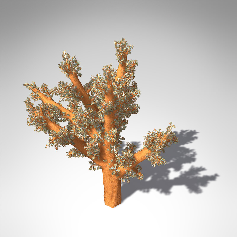 XfrogPlants Carnation Coral 3D model_1