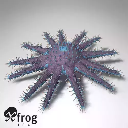 XfrogPlants Crown Of Thorns Starfish