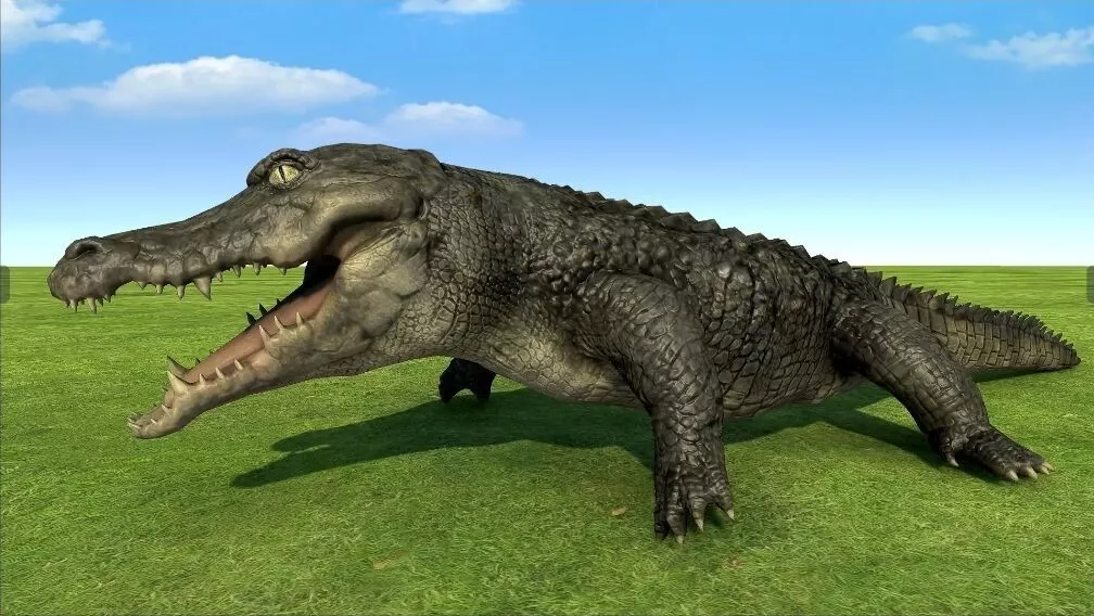 Crocodile rigged animated Low-poly 3D model