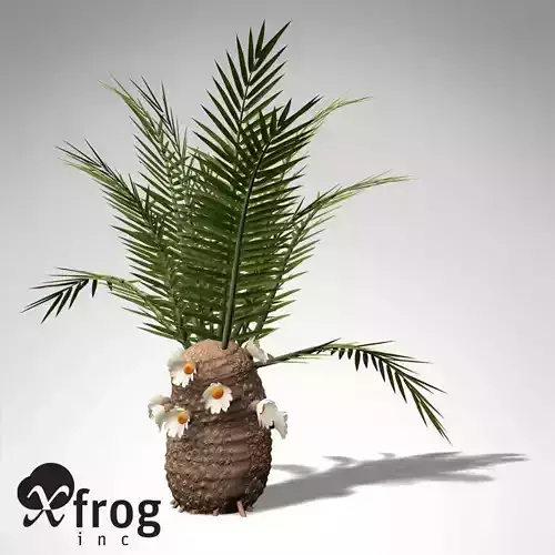 XfrogPlants Cycadeoidea Gigantea Free 3D model