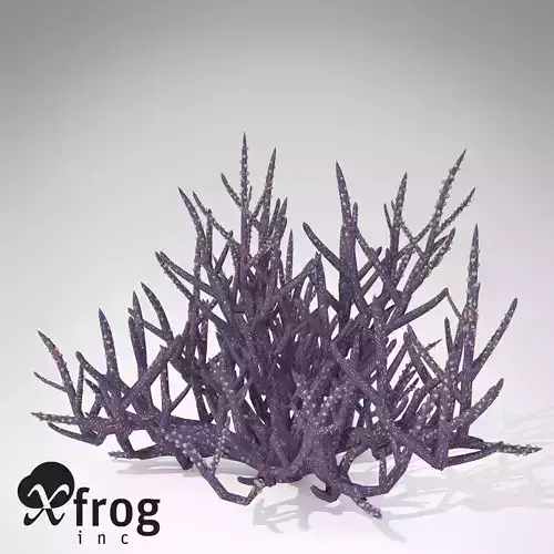XfrogPlants Low Acropora 3D model