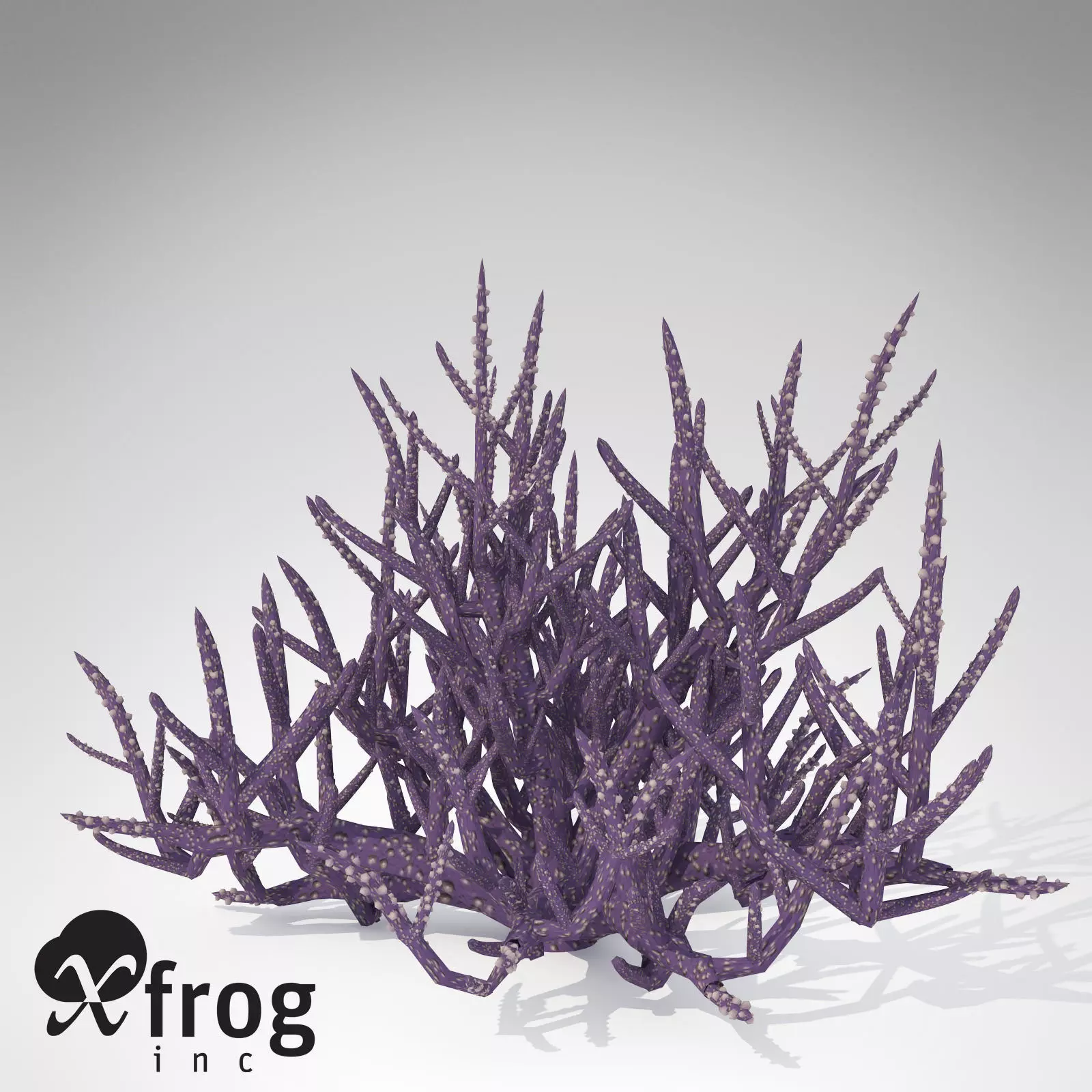 XfrogPlants Low Acropora 3D model_0