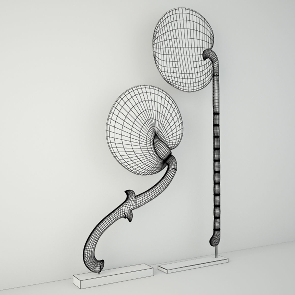 Burmese Fans 3D model_2