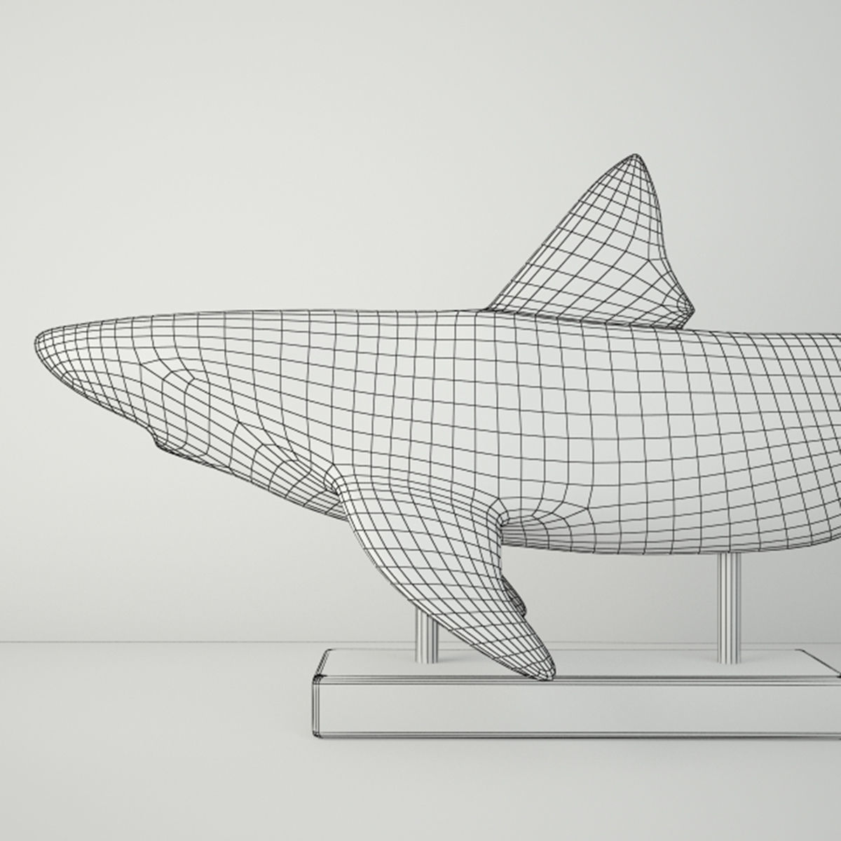 Relief of a Swimming Shark 3D model_4