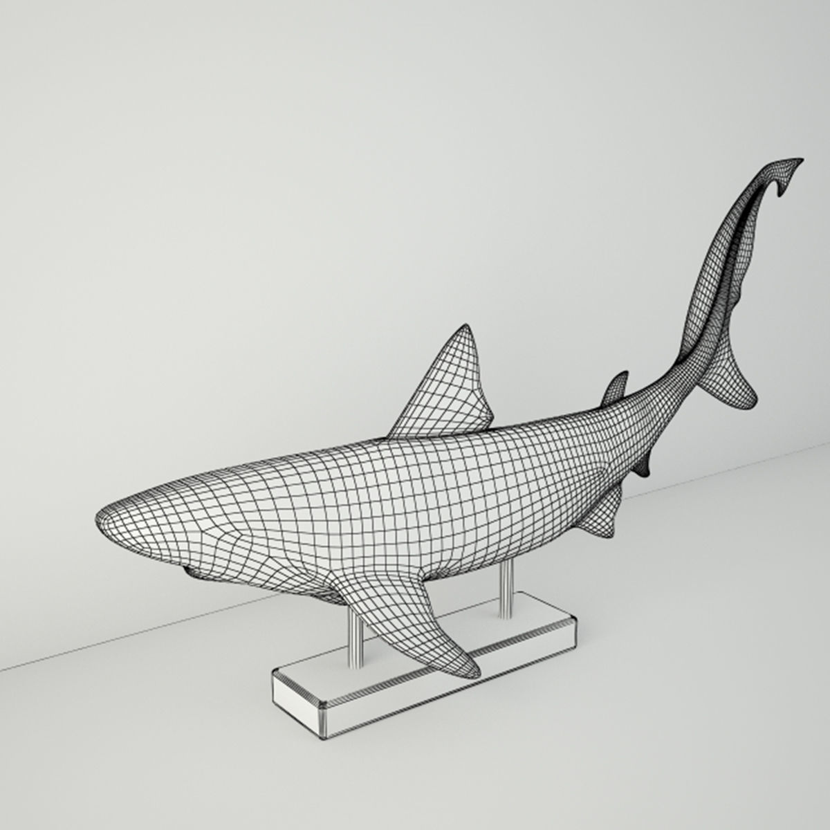 Relief of a Swimming Shark 3D model_2