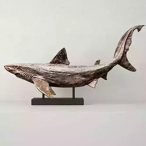 Relief of a Swimming Shark