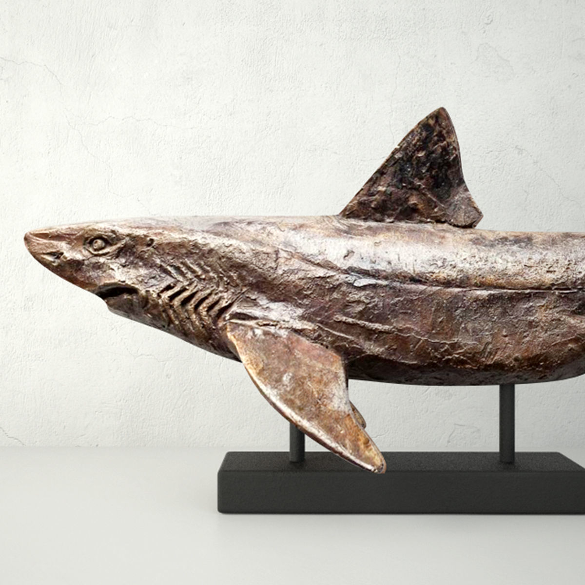 Relief of a Swimming Shark 3D model_3