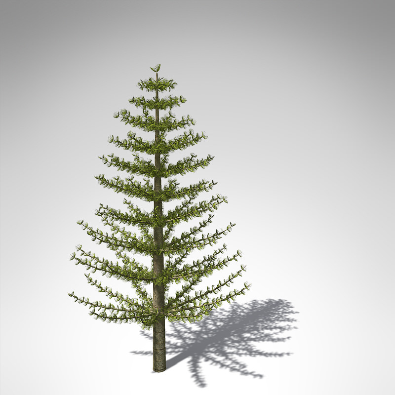 XfrogPlants Calamites 3D model_2