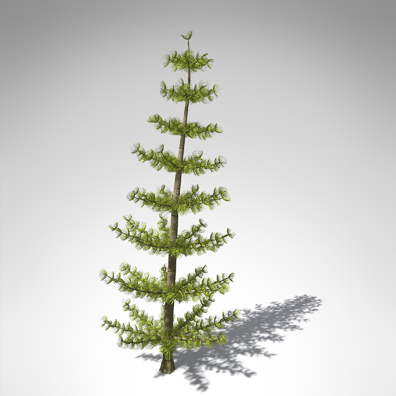 XfrogPlants Calamites 3D model_1