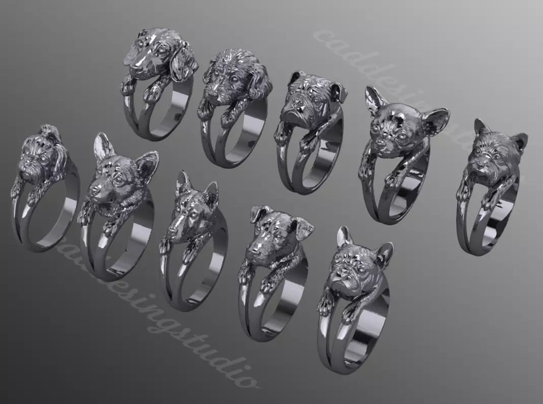 kt595 Dog Breeds Jewelry Collection - 10 High-Detailed Rings 3D print model