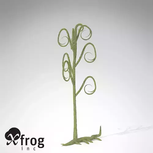 XfrogPlants Asteroxylon 3D model