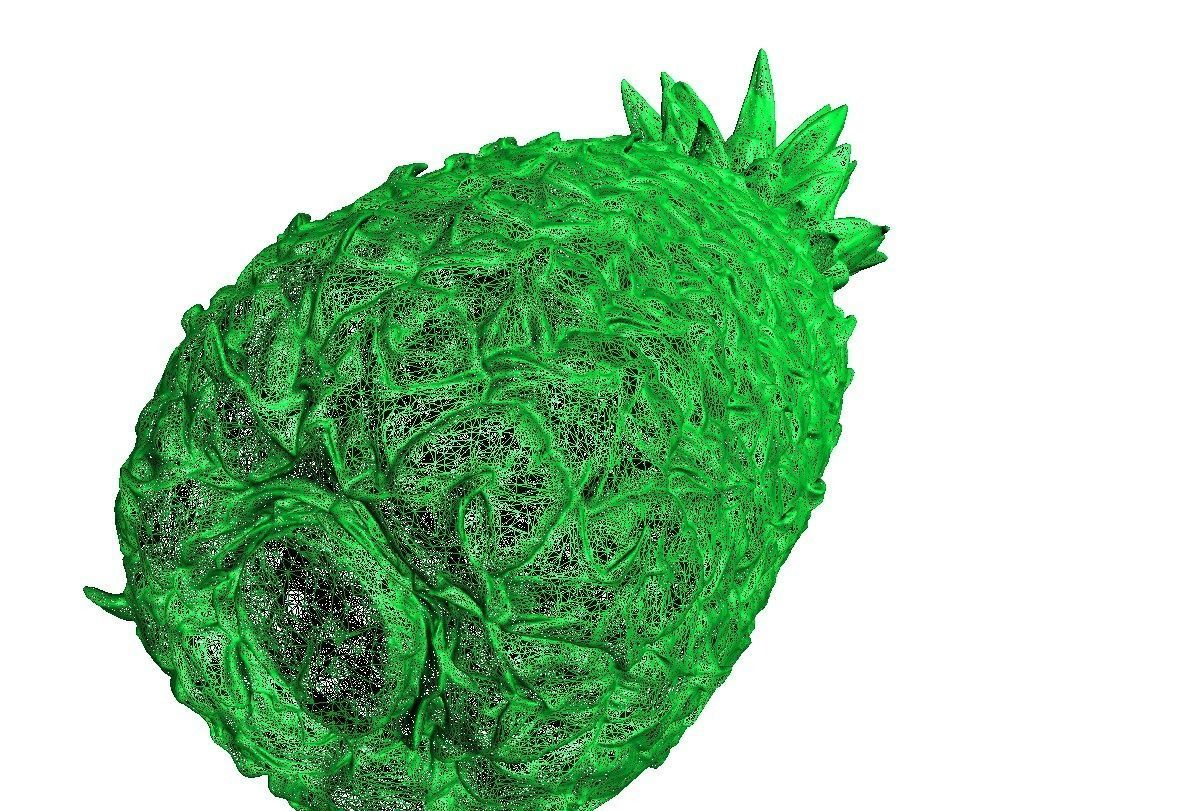 Pineapple Low-poly 3D model_9