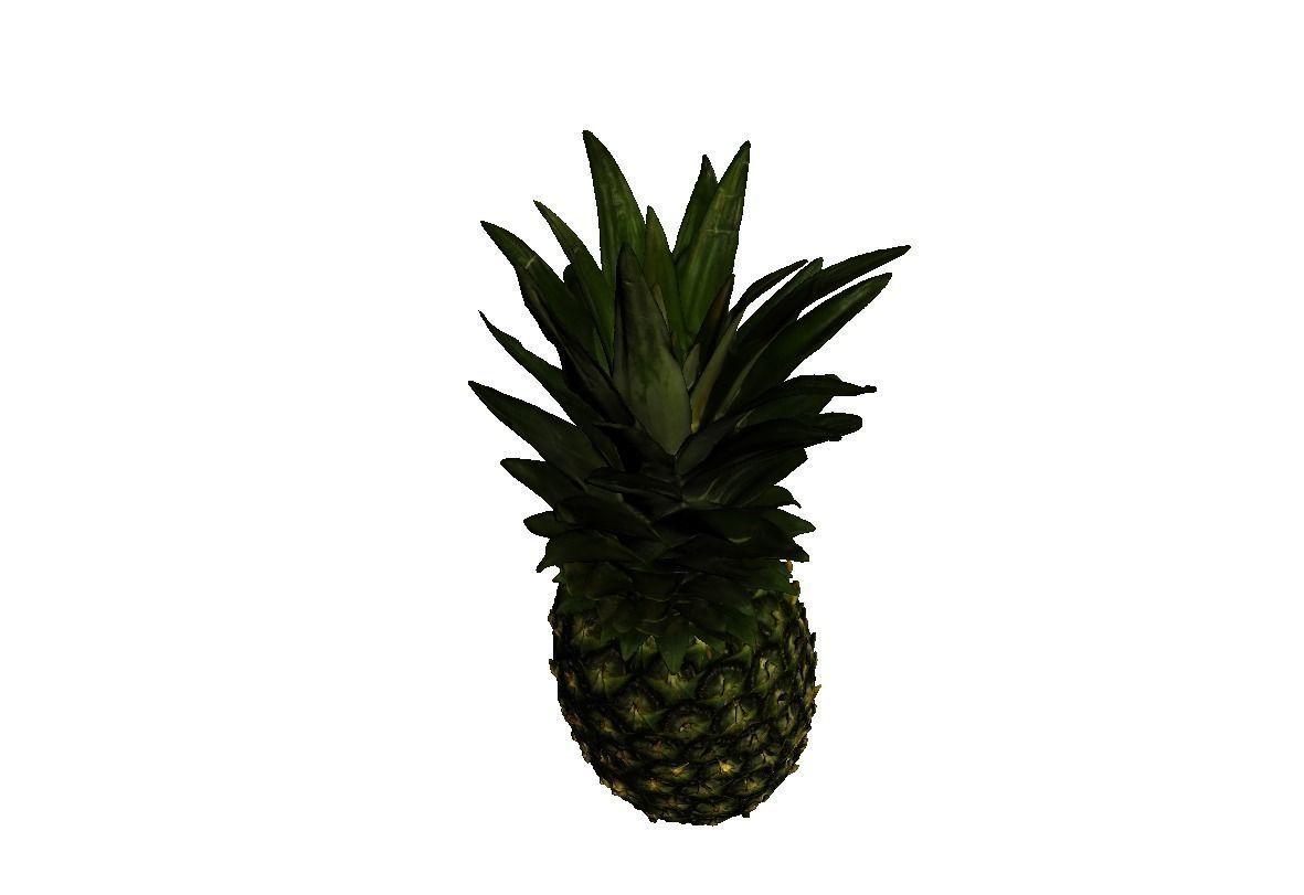 Pineapple Low-poly 3D model_3