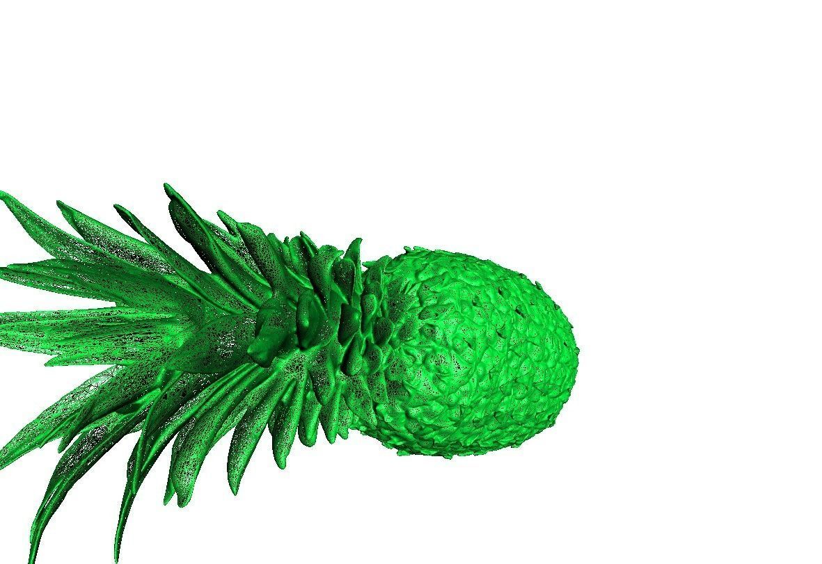 Pineapple Low-poly 3D model_8