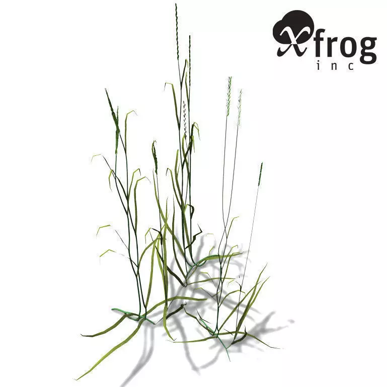 XfrogPlants Couch Grass 3D model_0
