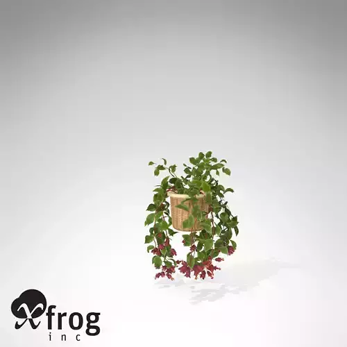 XfrogPlants Mona Lisa