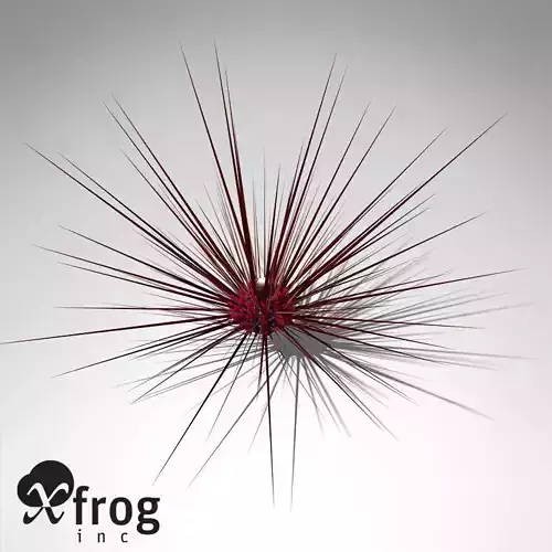 XfrogPlants Long-spined Sea Urchin