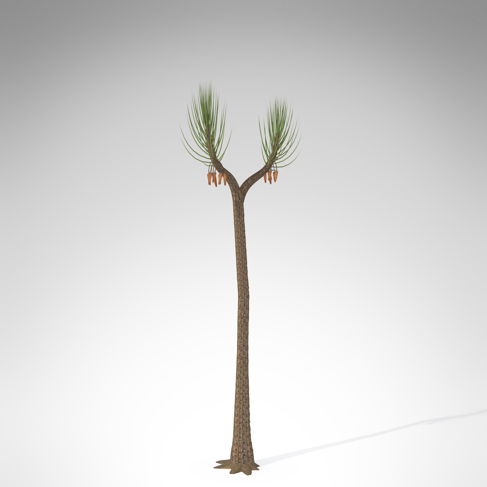 XfrogPlants Sigillaria 3D model_2