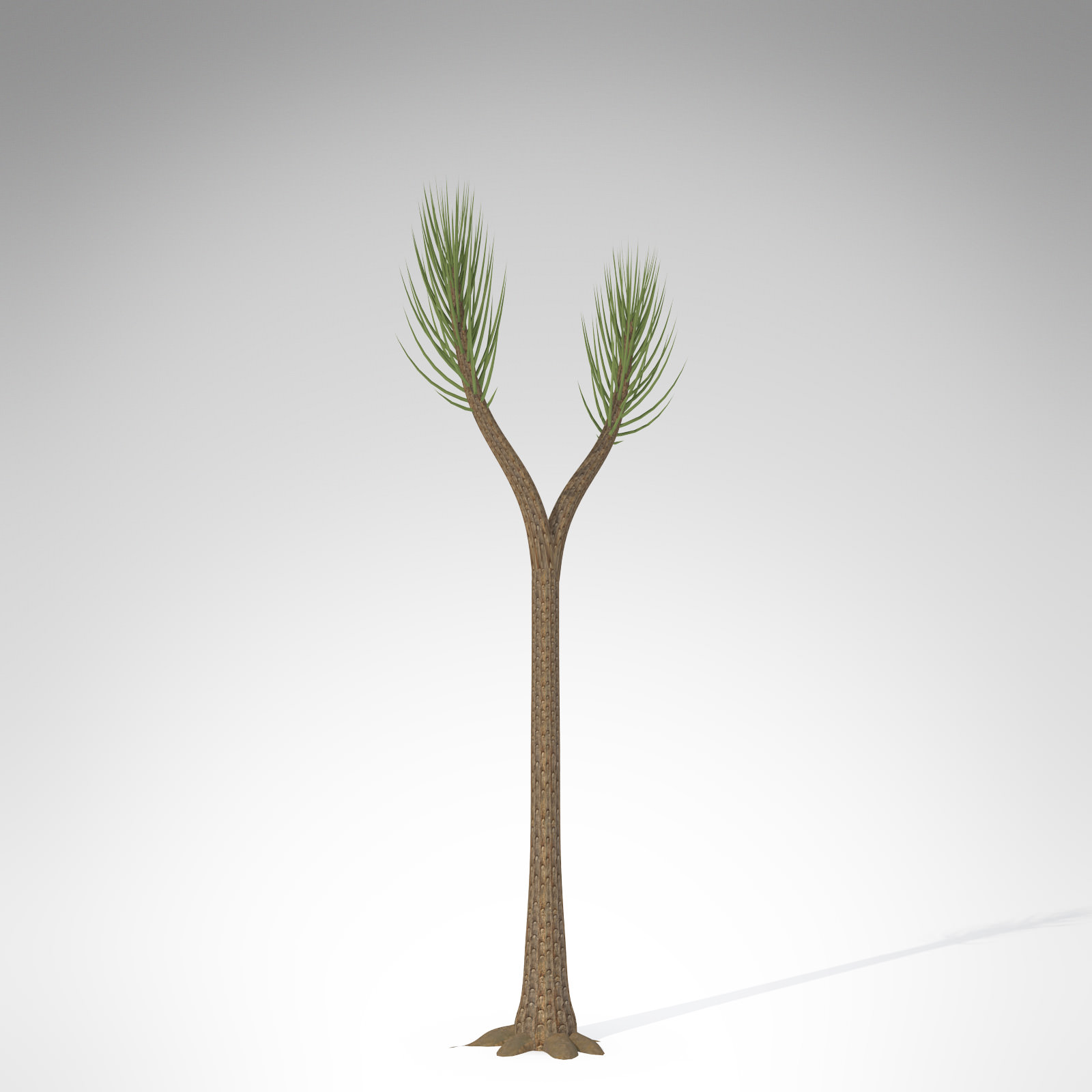 XfrogPlants Sigillaria 3D model_1