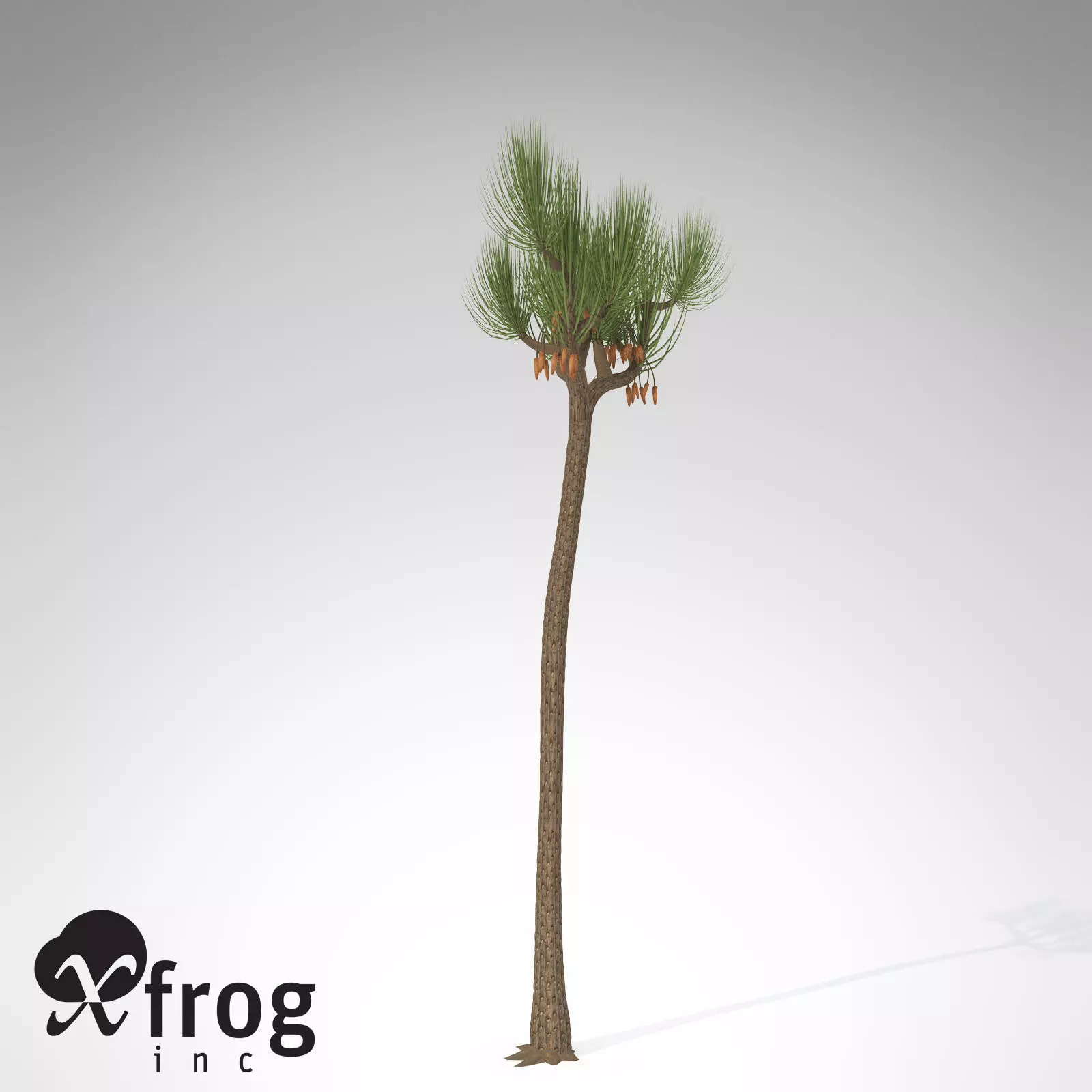 XfrogPlants Sigillaria 3D model_0