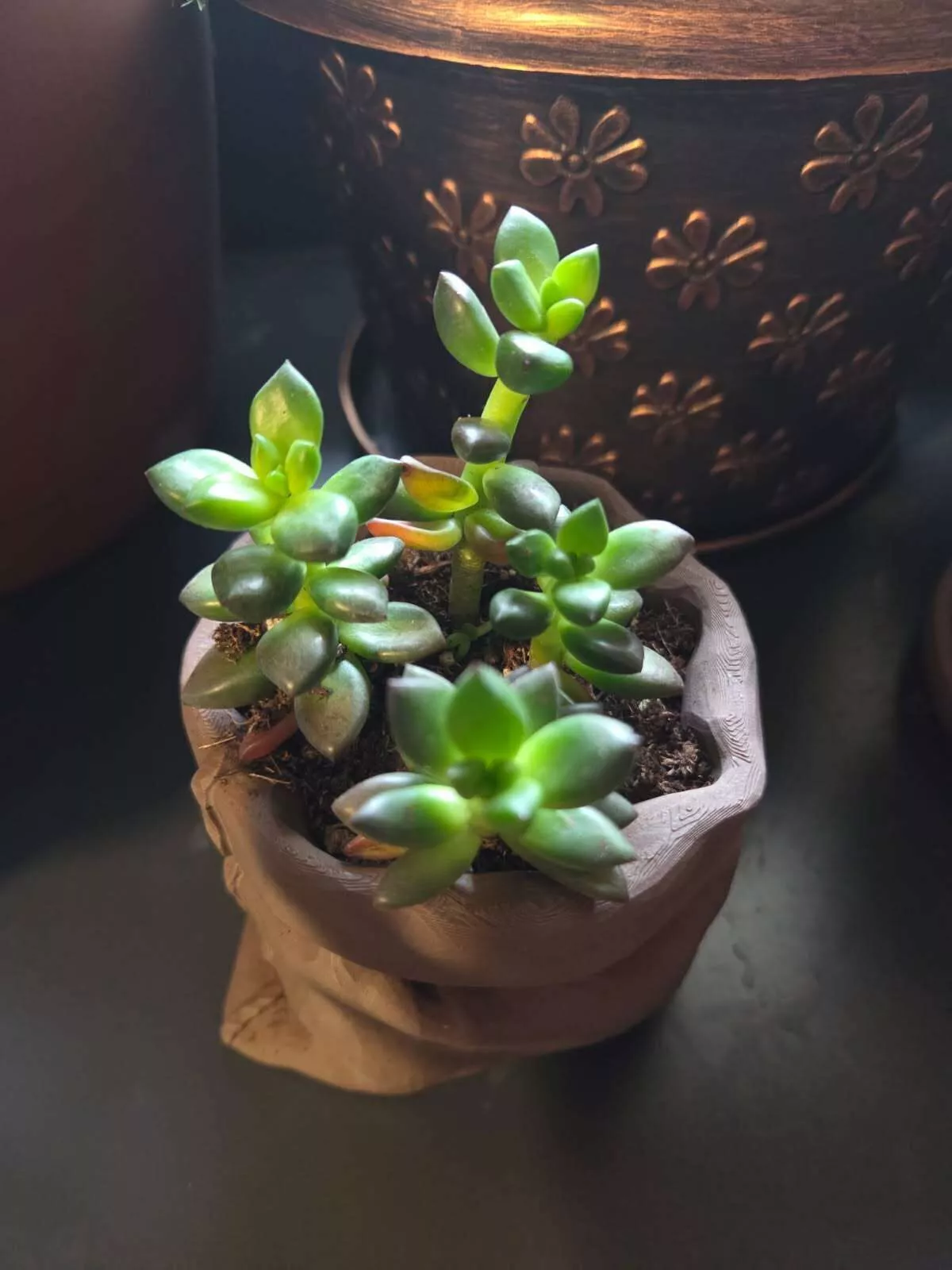 Burlap Bag Planter 3D print model