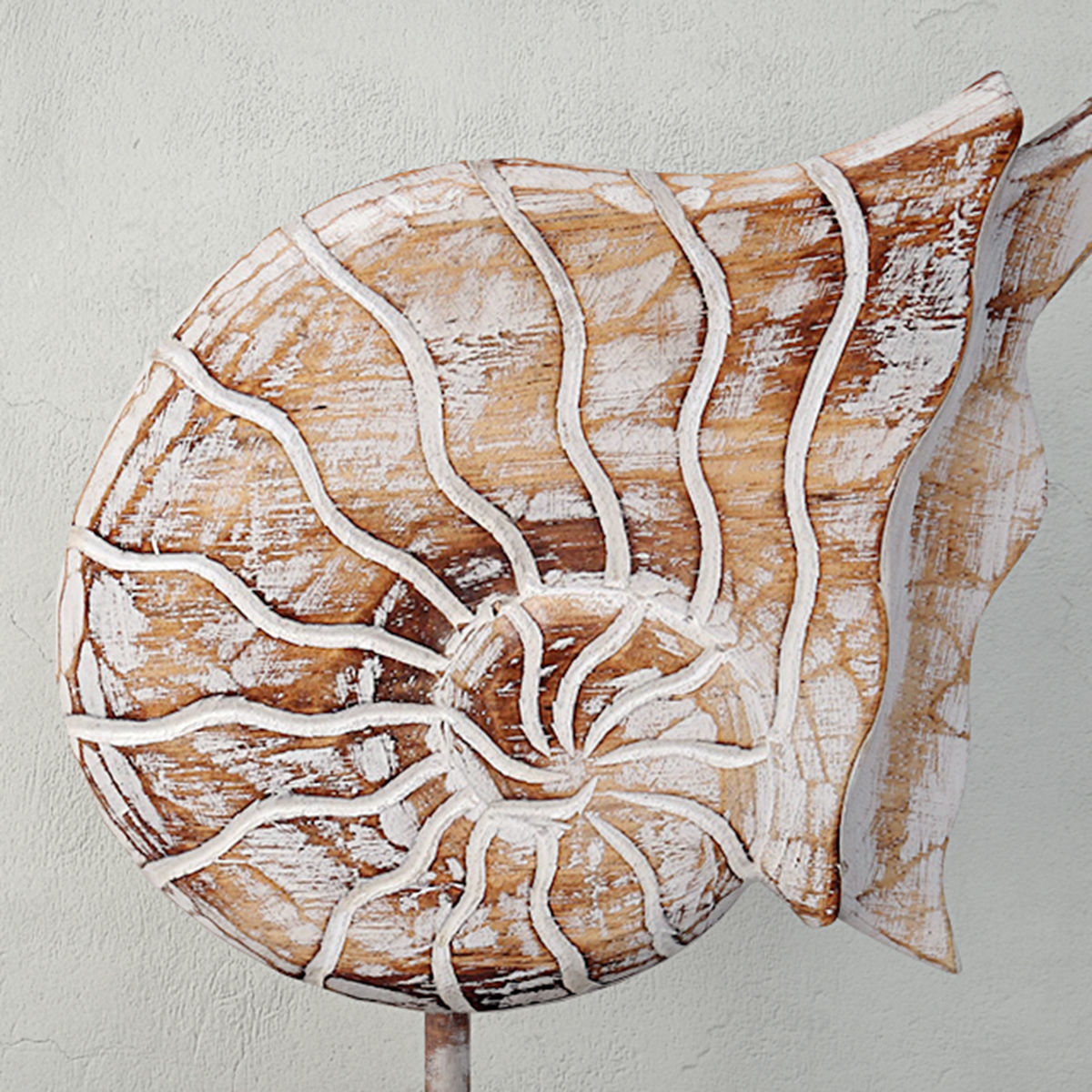 Balinese Wood Nautilus Shell Sculpture 3D model_3