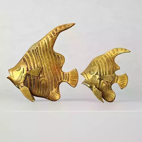 Brass Angel Fish