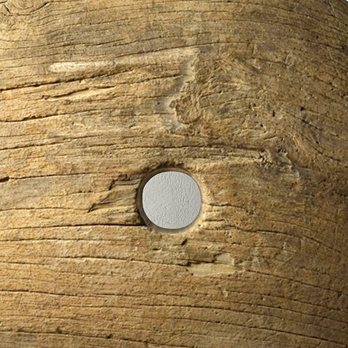 Teak Wheel 2 3D model_4