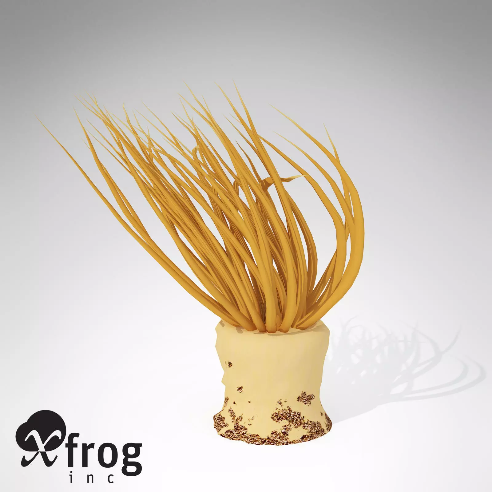 XfrogPlants Tube Anemone 3D model_0