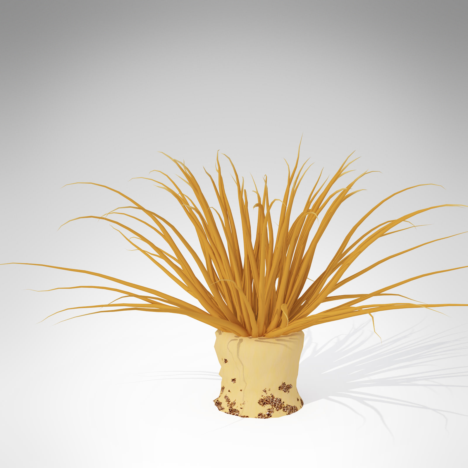 XfrogPlants Tube Anemone 3D model_1