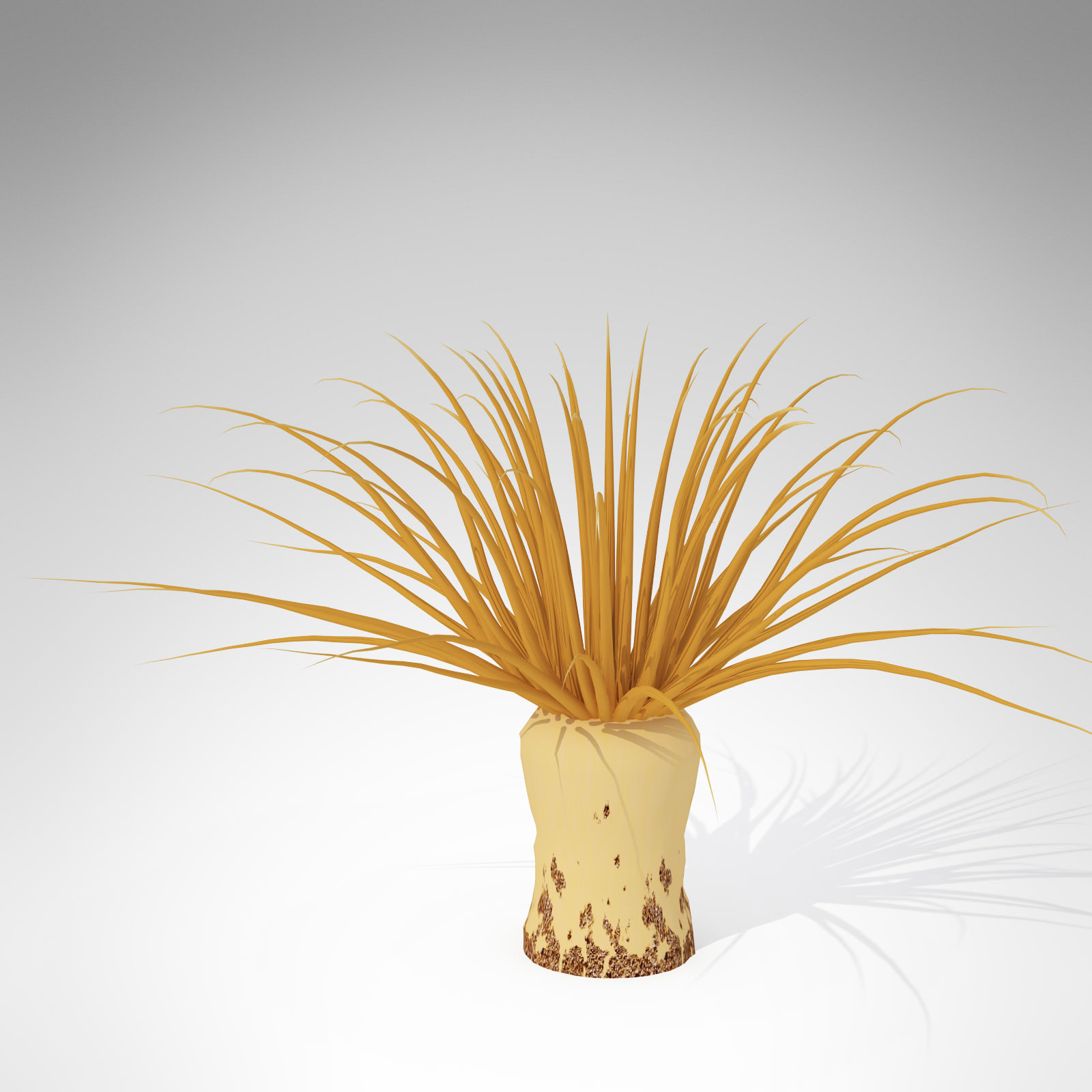 XfrogPlants Tube Anemone 3D model_2