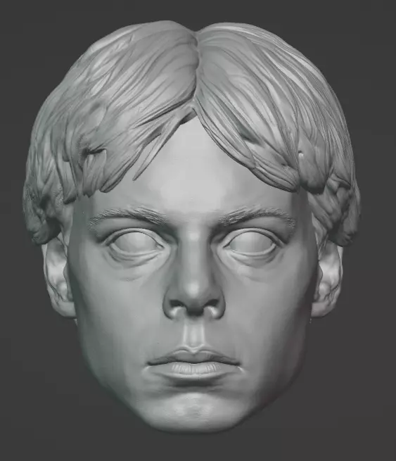 Tommy Head - Karate Kid - Cobra Kai 3D print model