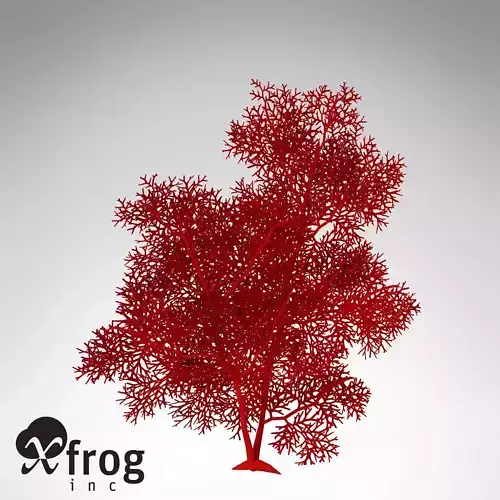 XfrogPlants Giant Sea Fan 3D model