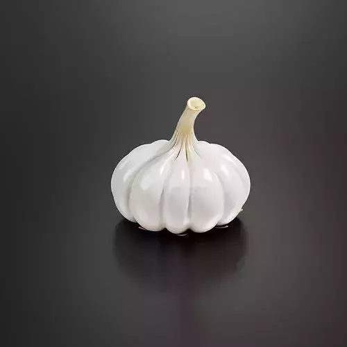 Garlic-02 3D print model 2