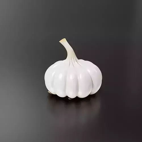 Garlic-02 3D print model 4