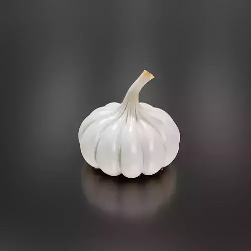 Garlic-02 3D print model 5