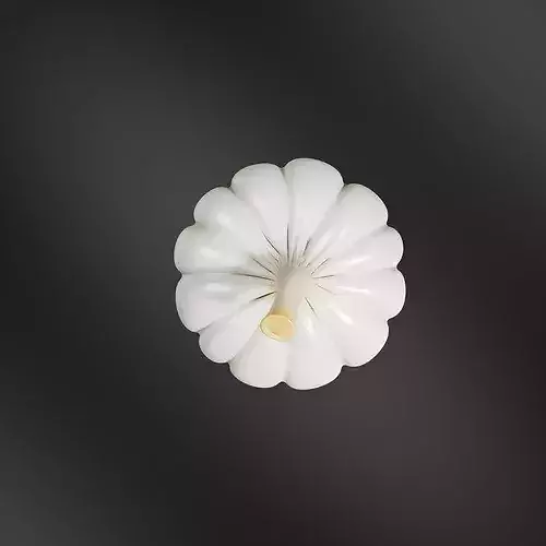 Garlic-02 3D print model 6