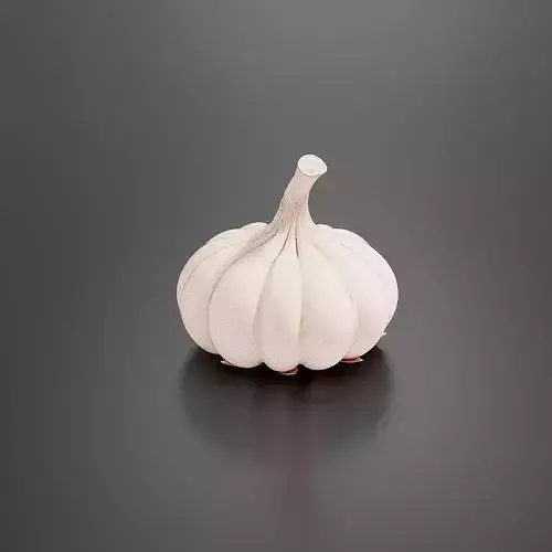 Garlic-02 3D print model 7