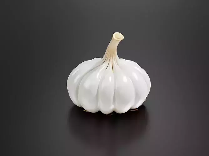 Garlic-02 3D print model