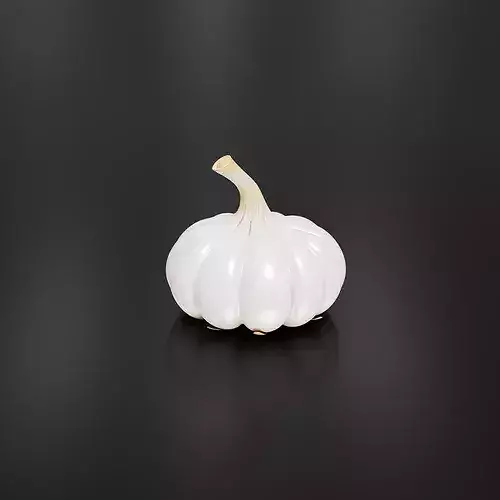 Garlic-02 3D print model 3