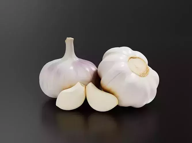 Garlic-01 3D print model