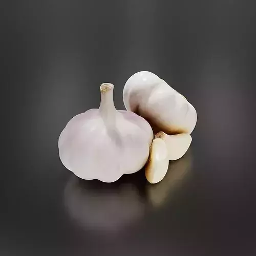 Garlic-01 3D print model 5