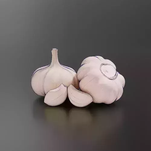 Garlic-01 3D print model 7