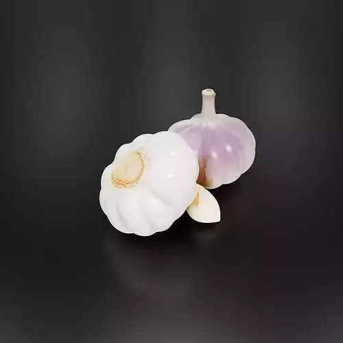Garlic-01 3D print model 3